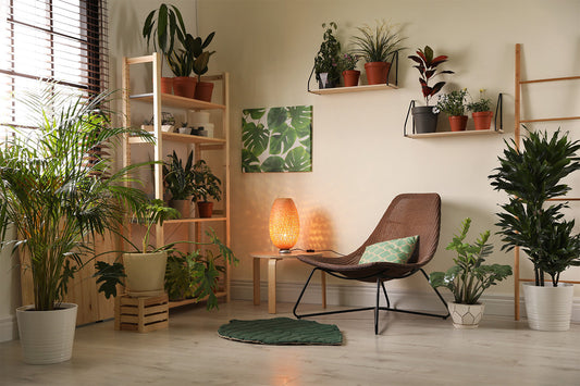 Top Common House Plants Perfect for an Indoor Garden