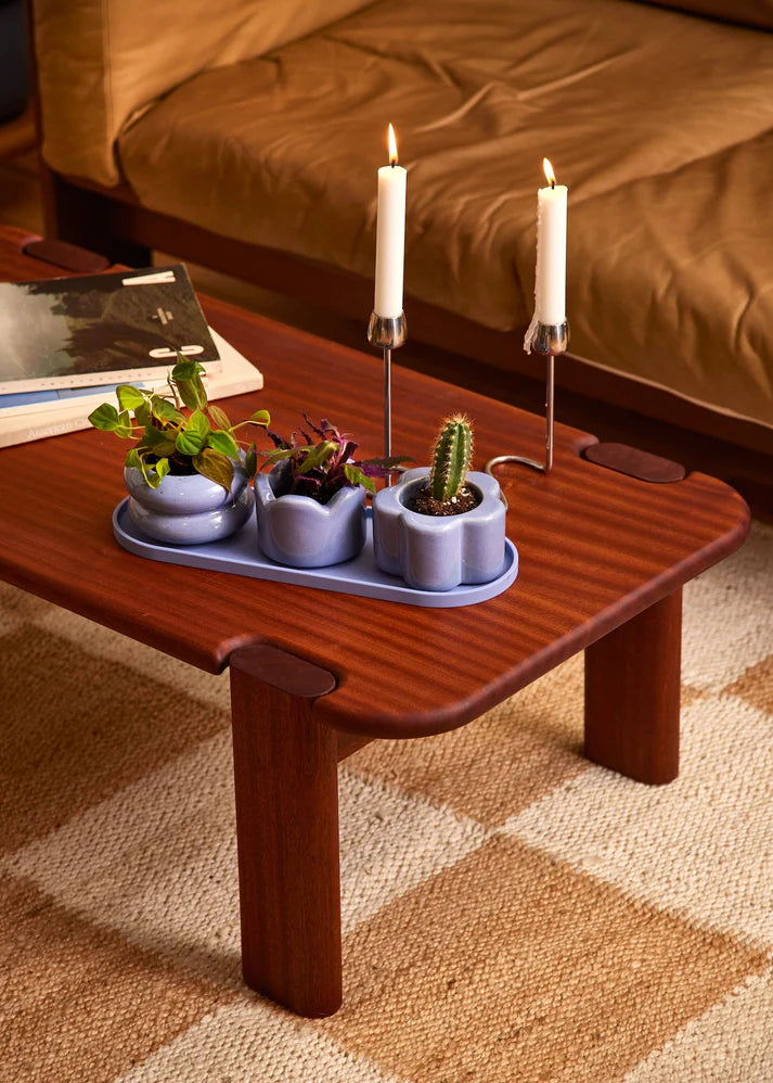 Cornflower Mini Planter Trio