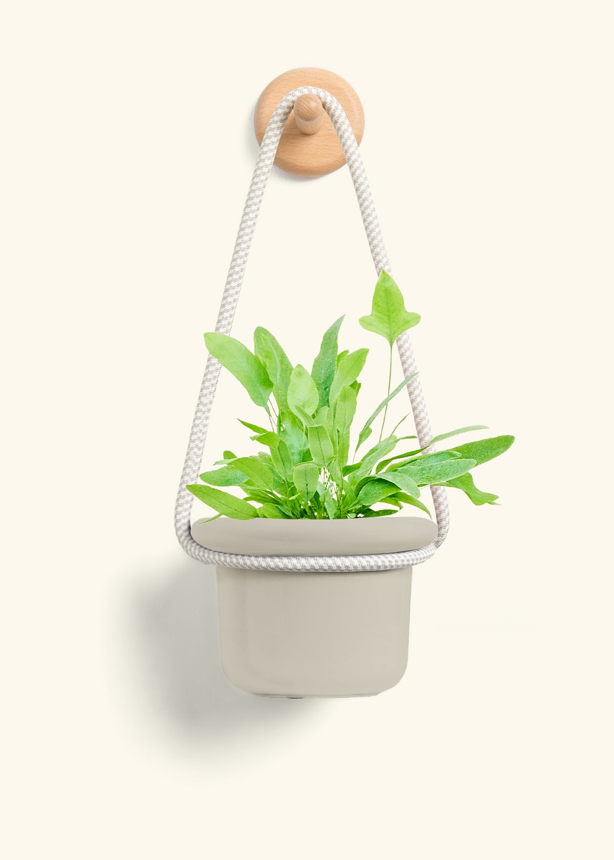 Oat Hanging Fat Lip Planter