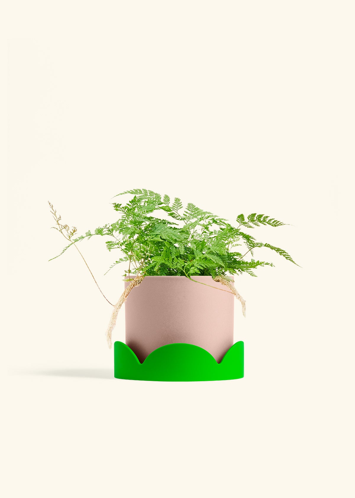 Rose Pink Classic Planter Drip Tray Combo