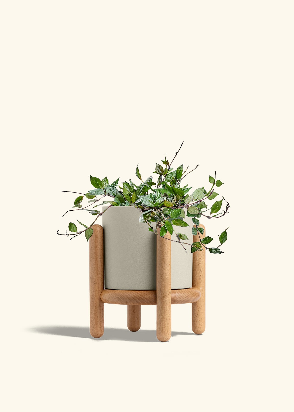 Oat Classic Planter Stand Combo