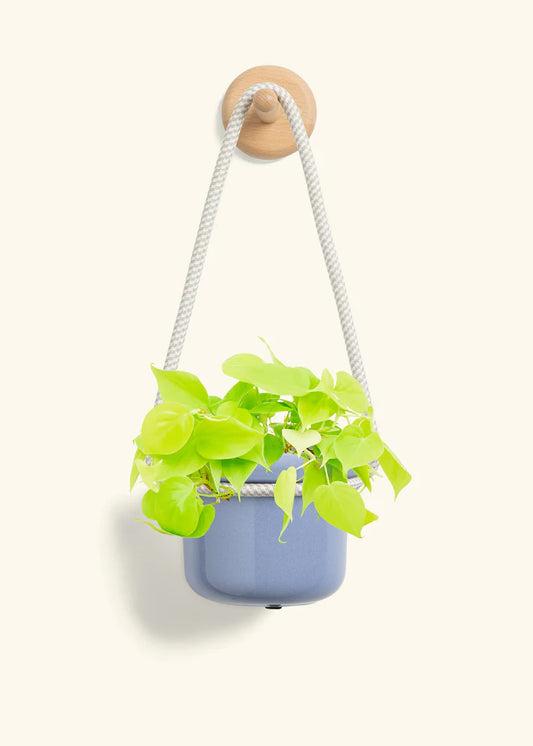 Cornflower Hanging Fat Lip Planter
