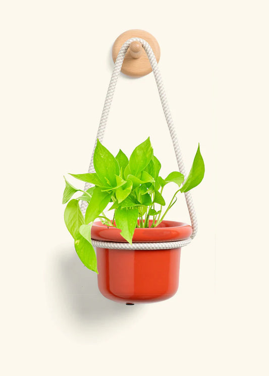Poppy Hanging Fat Lip Planter
