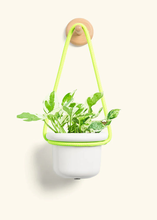Polar White Hanging Fat Lip Planter