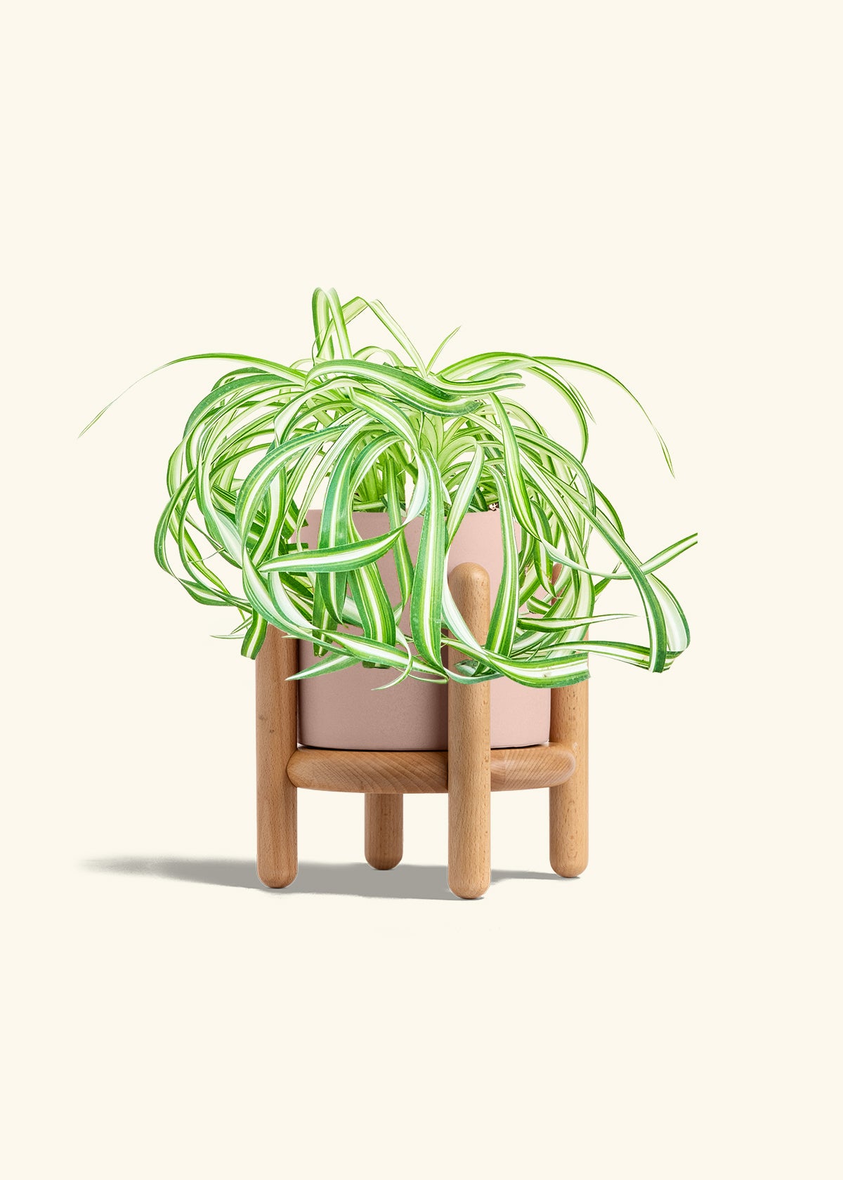 Rose Pink Classic Planter Stand Combo