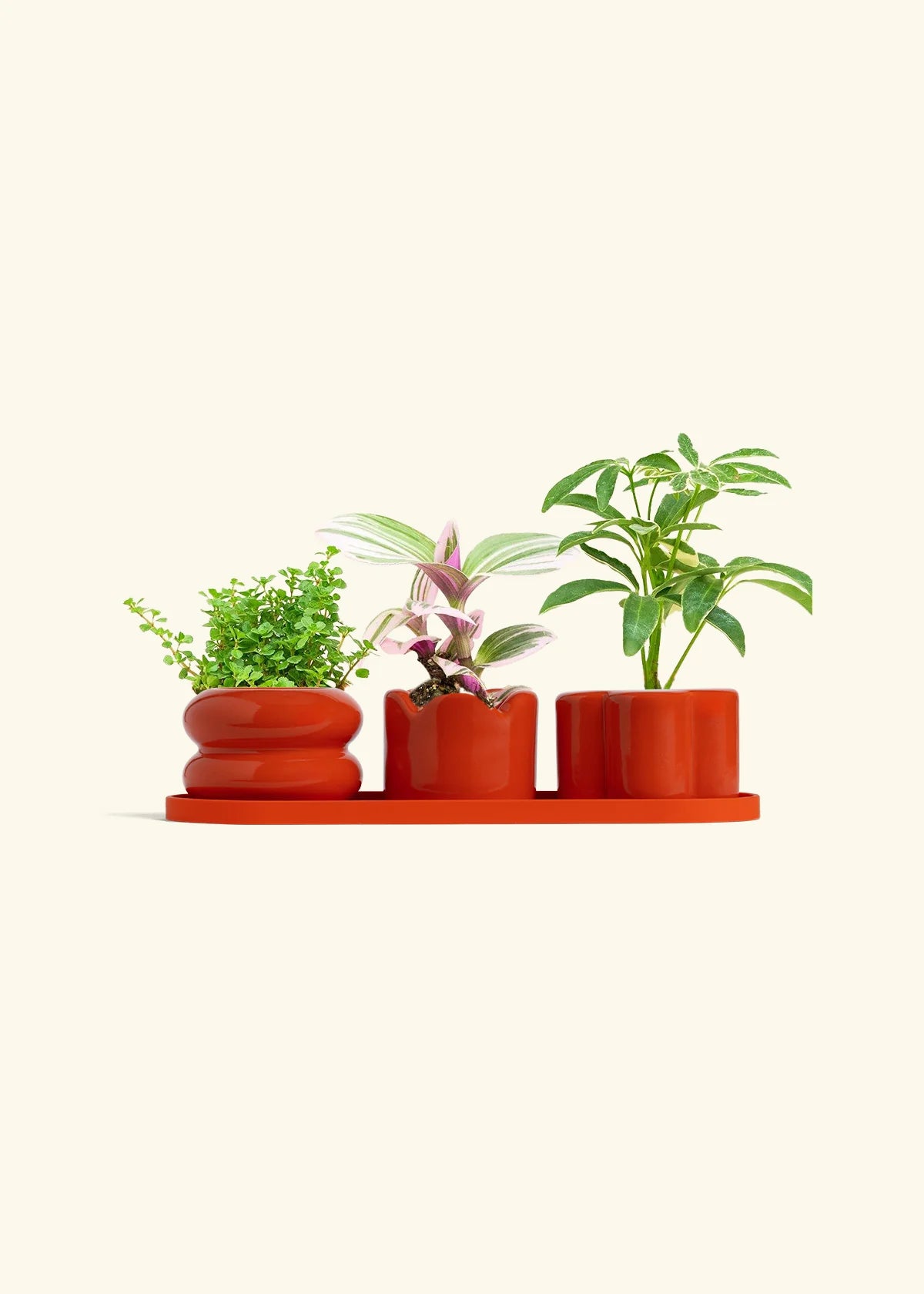 Poppy Mini Planter Trio