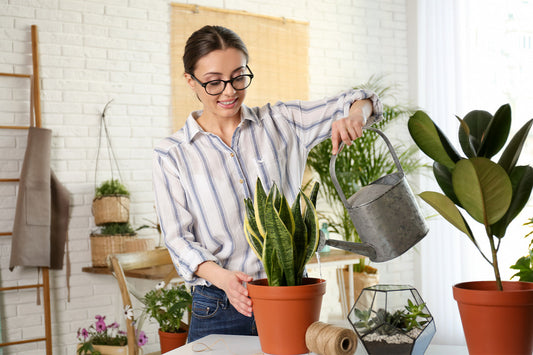 How To Make Tap Water Safe for Plants