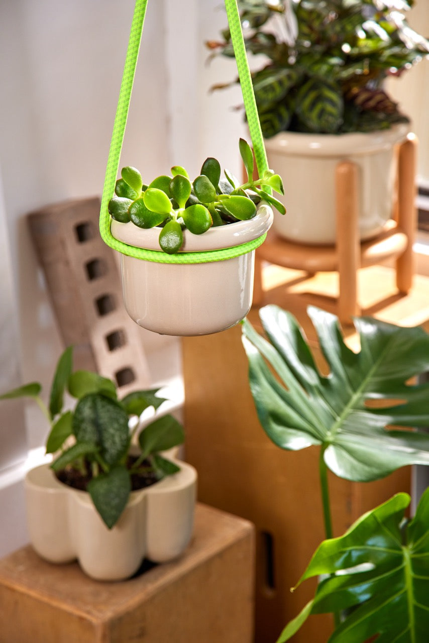 Rooted Hanging Rope