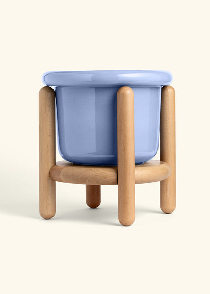 Cornflower Fat Lip Planter and Stand Combo