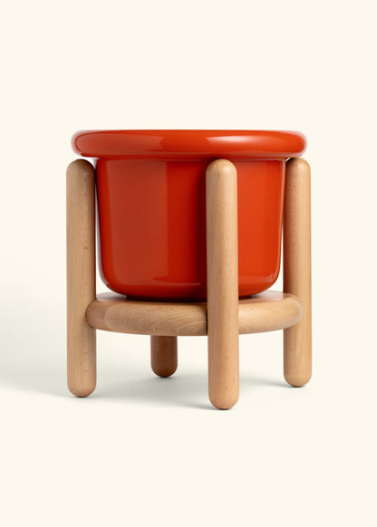 Poppy Fat Lip Planter and Stand Combo
