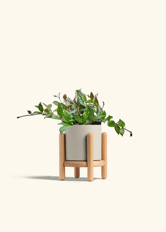 Oat Classic Planter Stand Combo