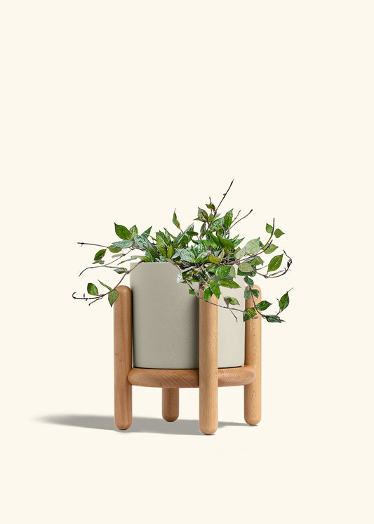 Oat Classic Planter and Stand Combo