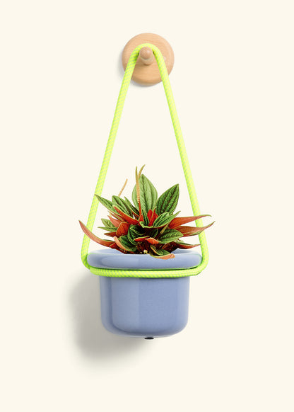 Rooted Hanging Rope
