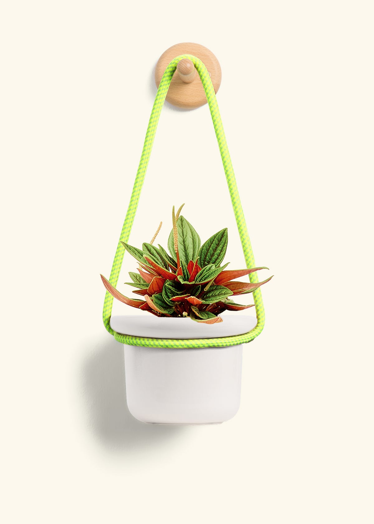 Rooted Hanging Rope