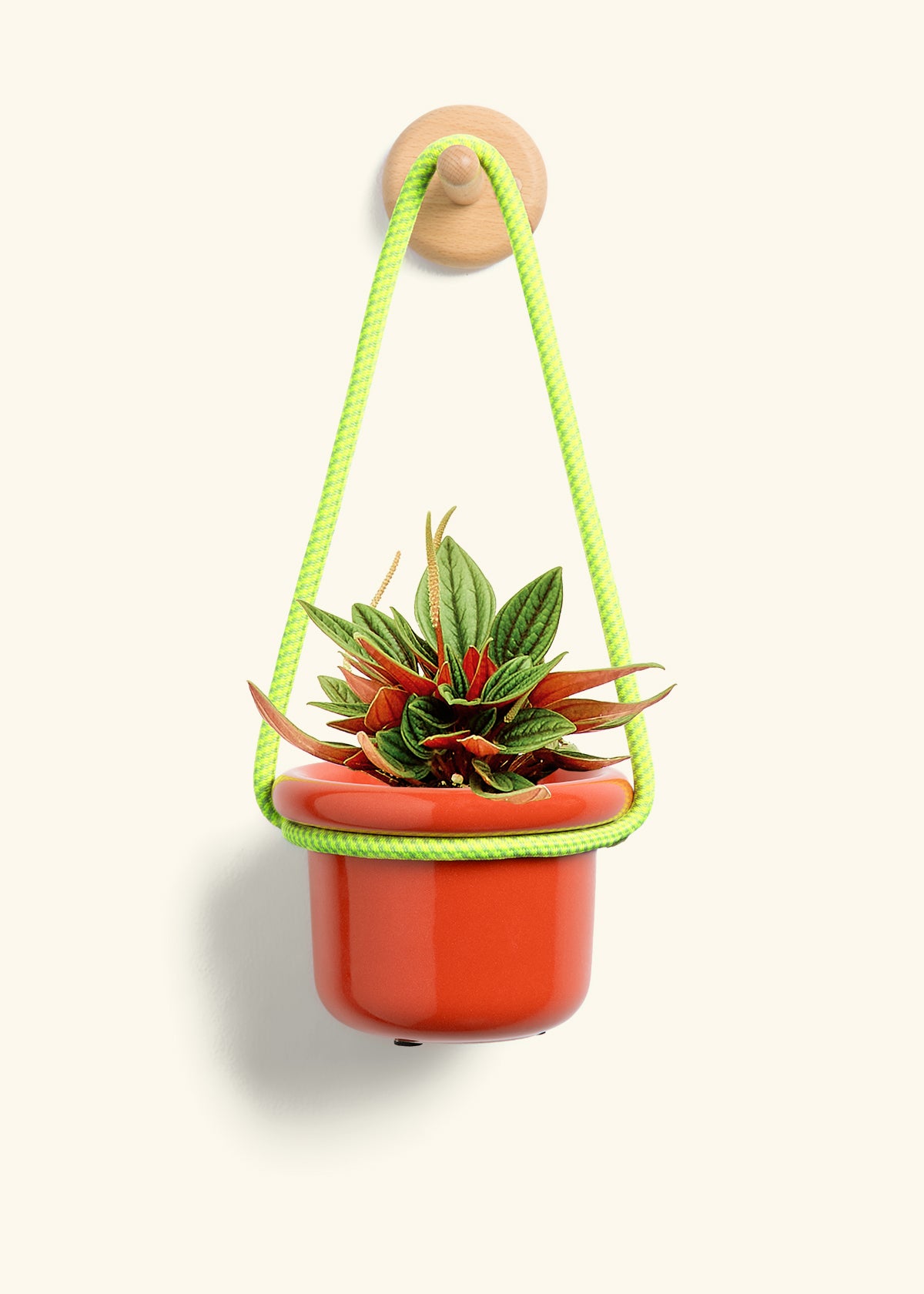 Rooted Hanging Rope
