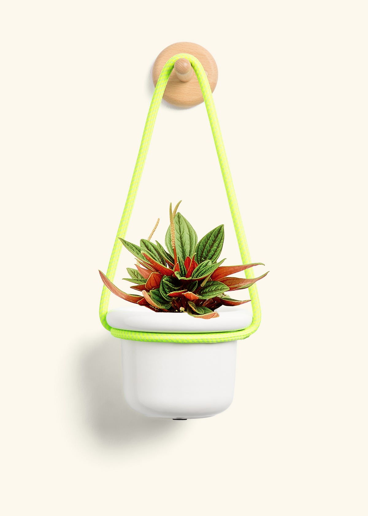 Rooted Hanging Rope