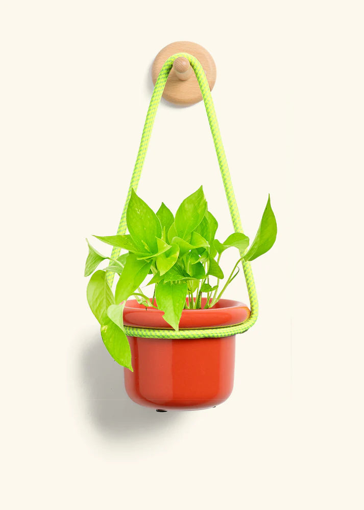 Poppy Hanging Fat Lip Planter