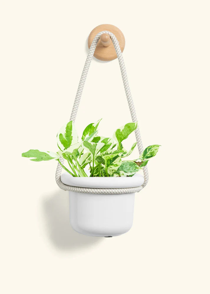 white hanging plant holder Polar White Hanging Fat Lip Planter – Rooted Brooklyn