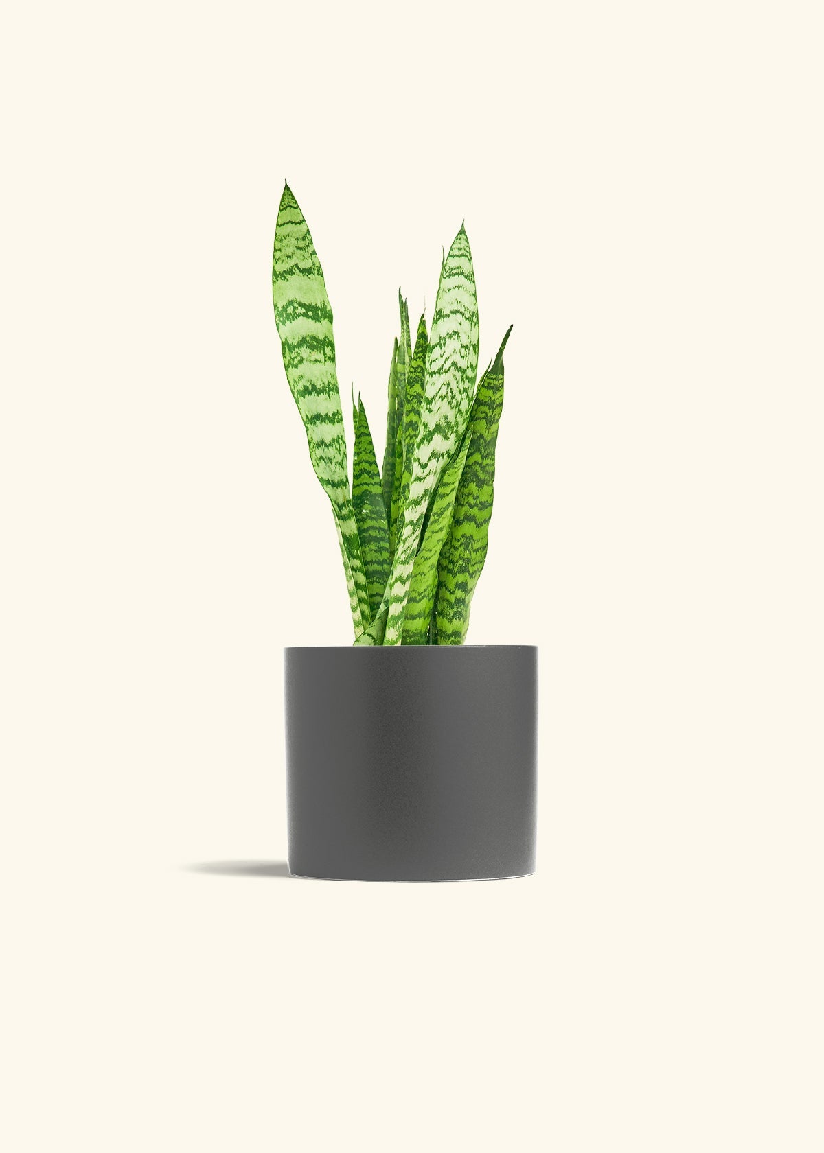 Charcoal Classic Planter